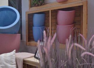 Homi: va in scena la casa HOMI